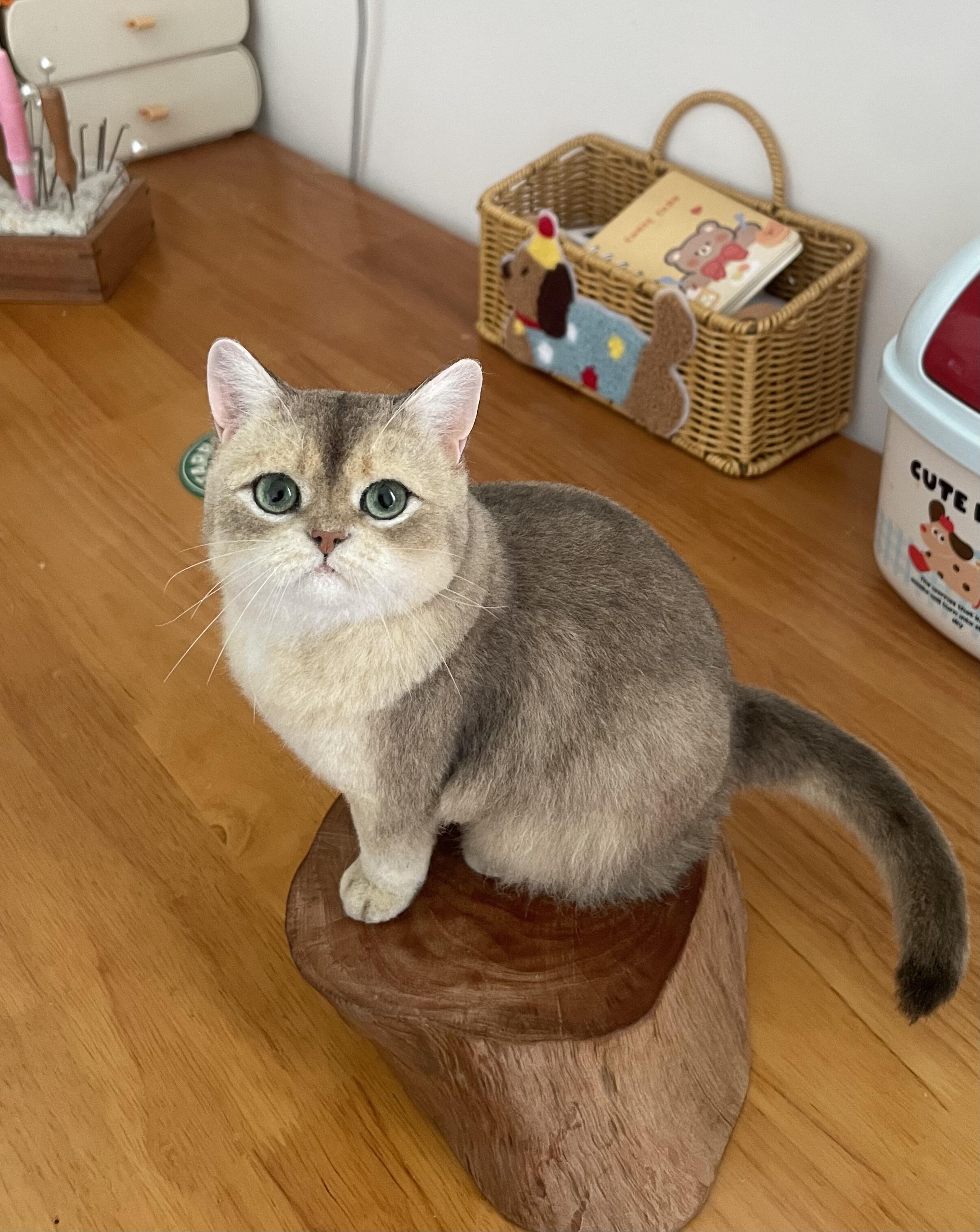 慵懒猫咪雕塑