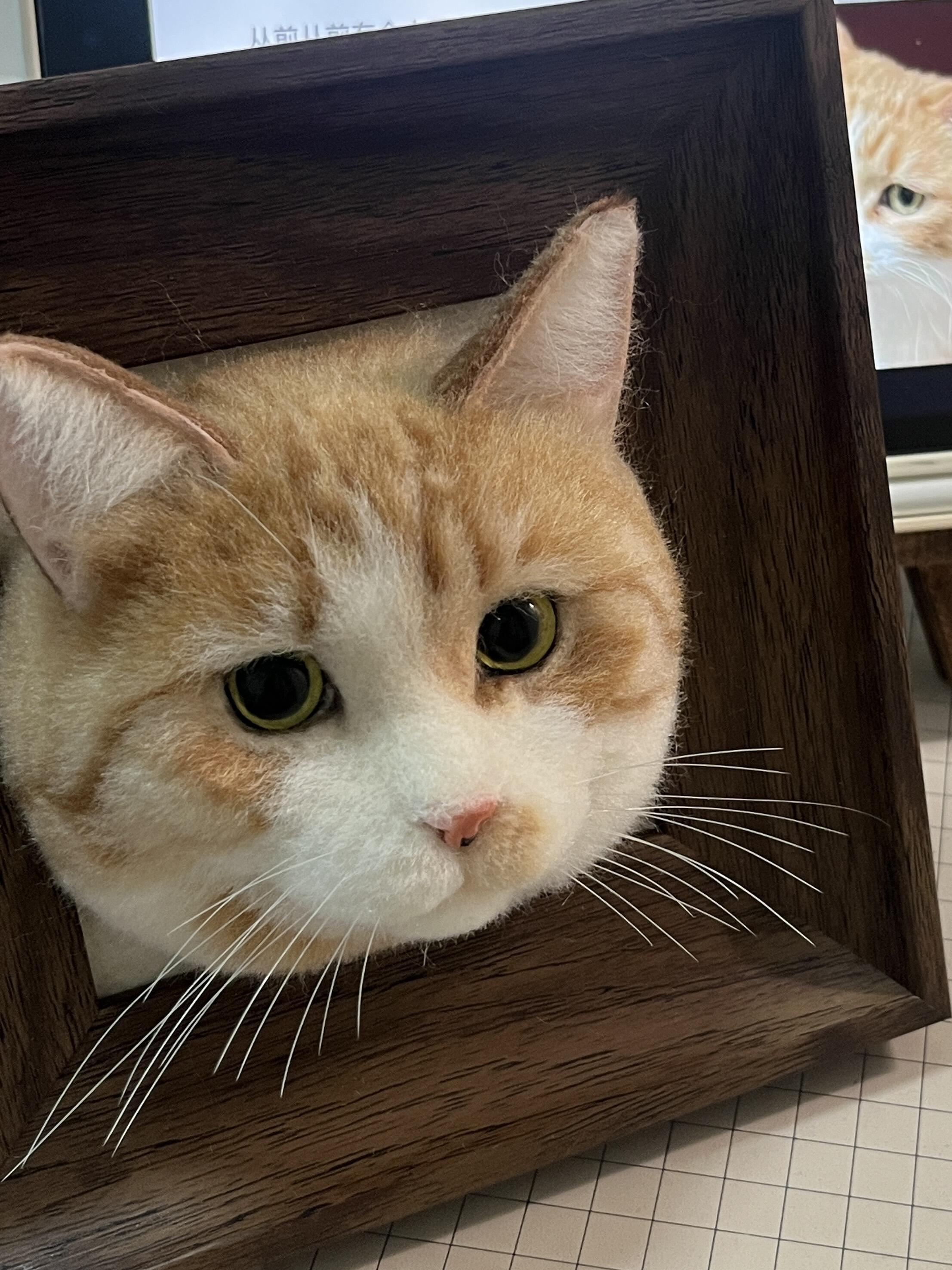 优雅猫咪雕塑