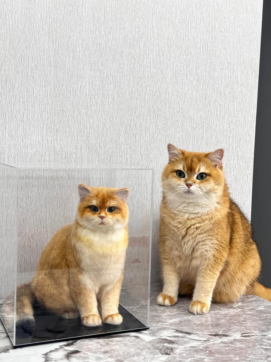好评展示 1